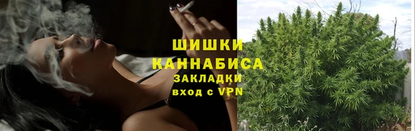 дурь Бородино