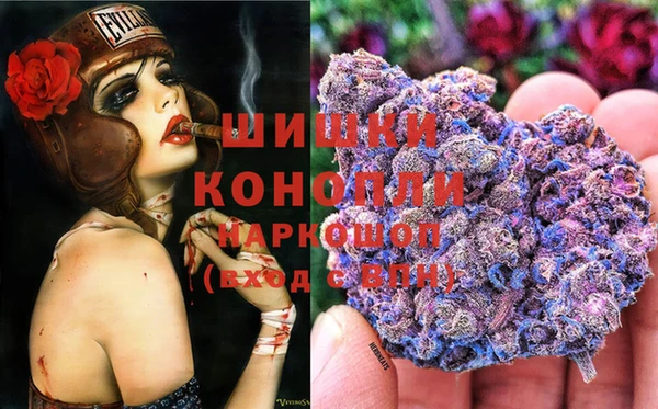 дурь Бородино