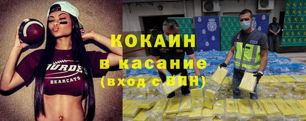 амф Богданович