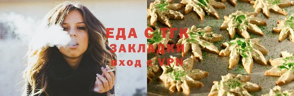дурь Бородино