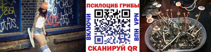 закладки  кракен зеркало  Галлюциногенные грибы мицелий  Троицк 